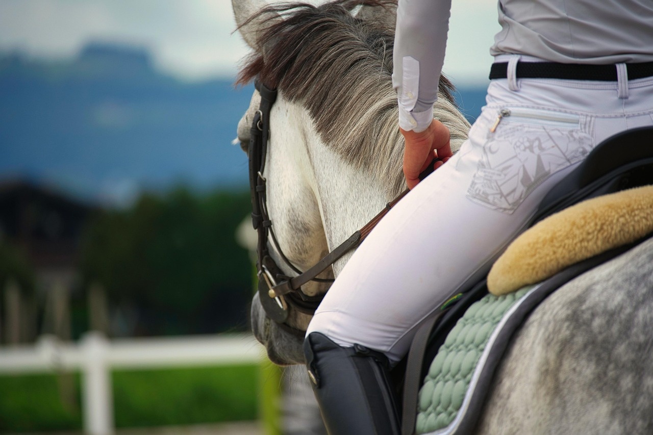 Horse racing