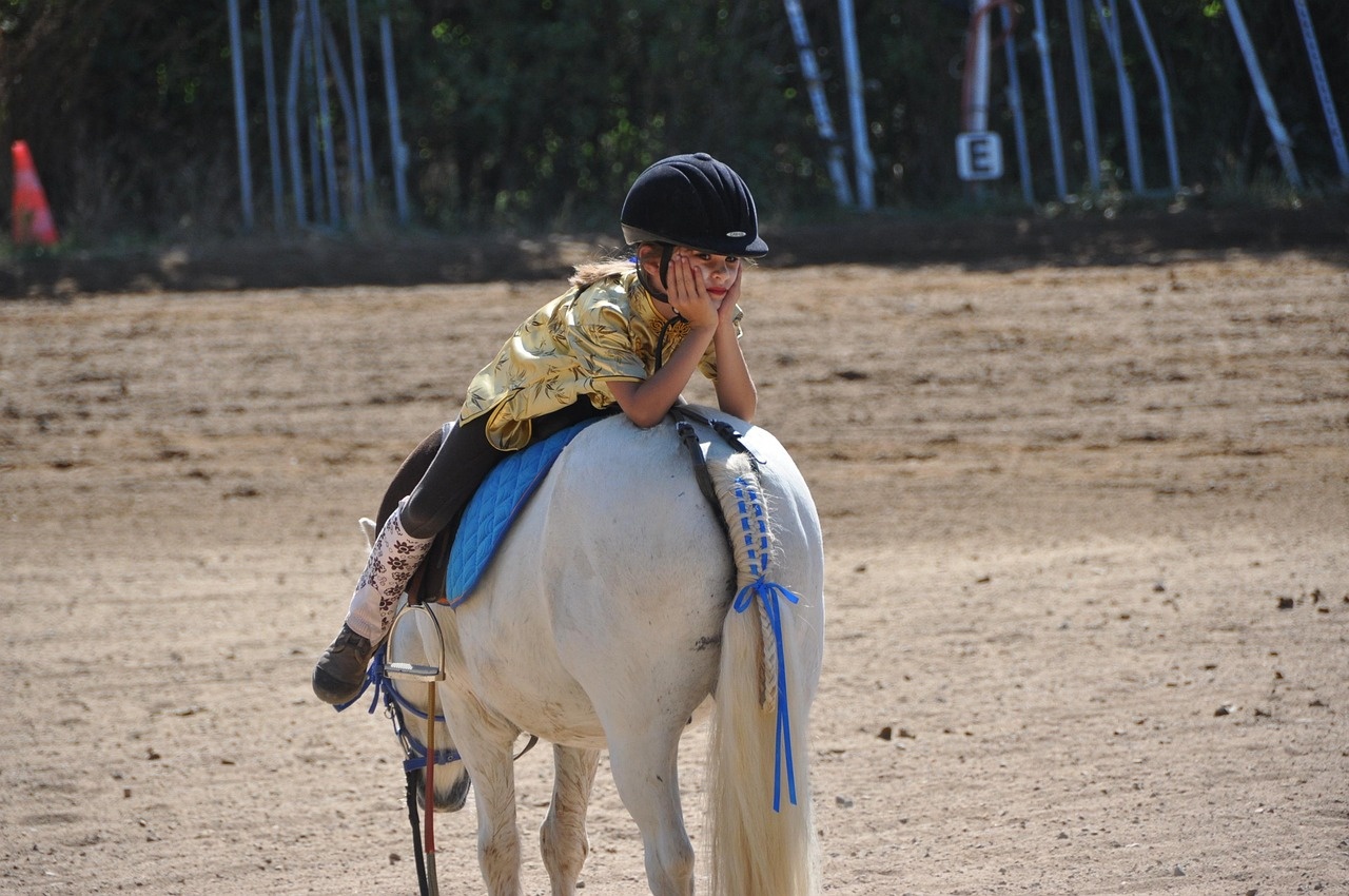 Horse racing visuals