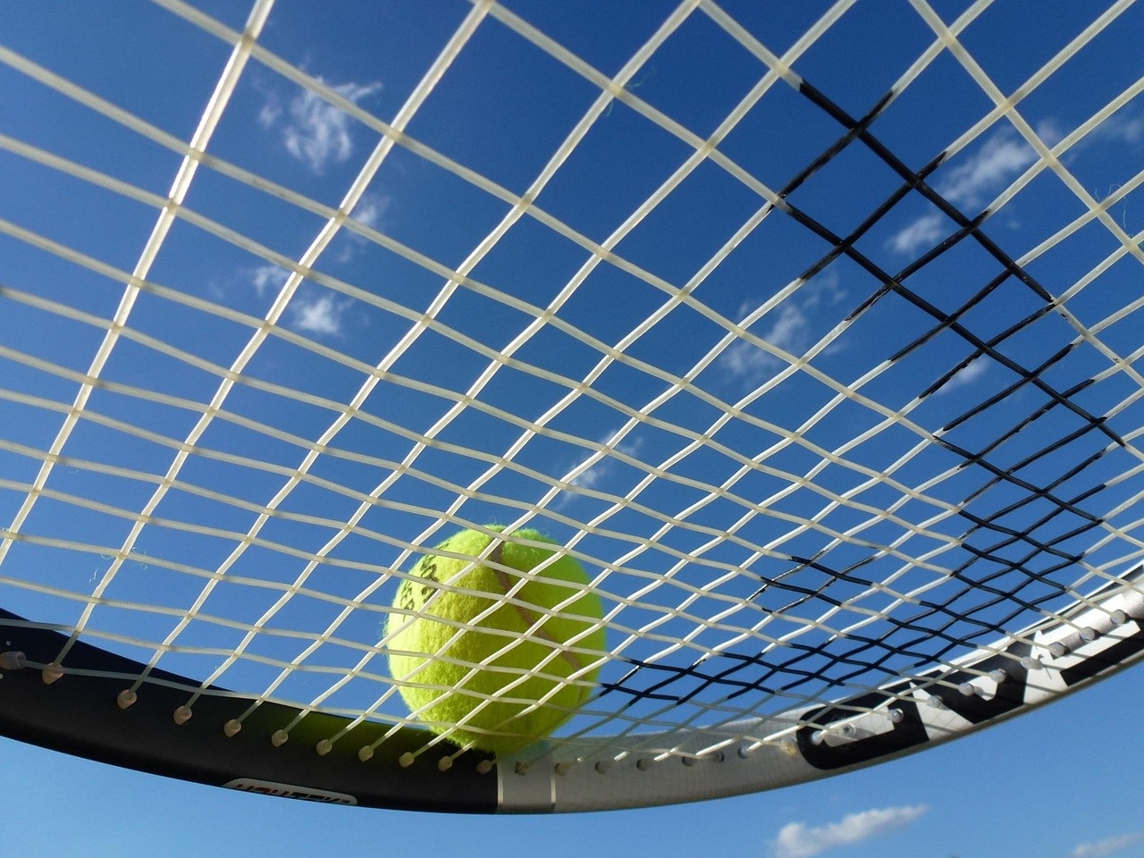 Other sport guides